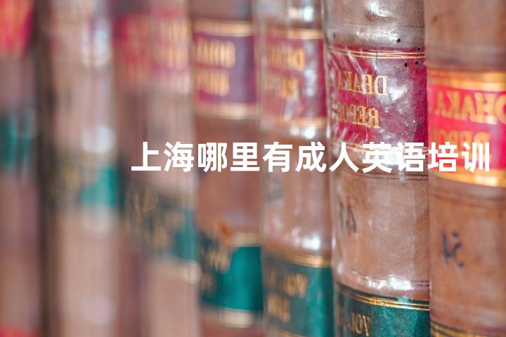 上海哪里有成人英语培训