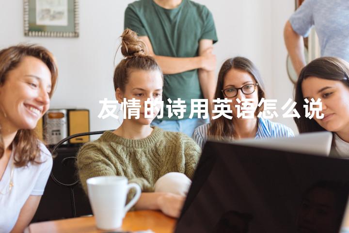 友情的诗用英语怎么说