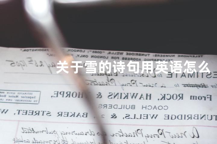 关于雪的诗句用英语怎么说