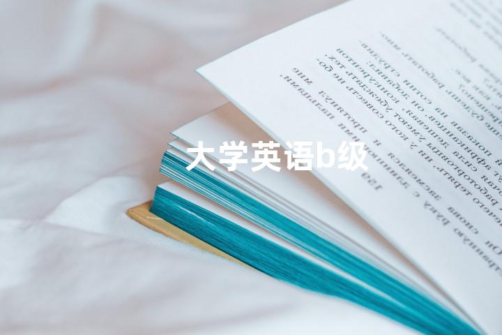 大学英语b级