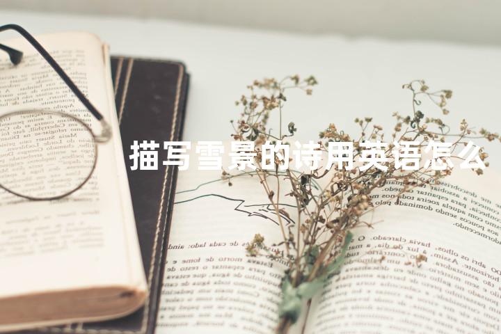 描写雪景的诗用英语怎么说
