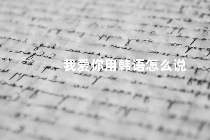 我爱你用韩语怎么说