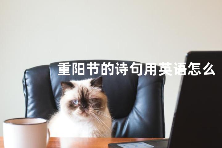 重阳节的诗句用英语怎么说