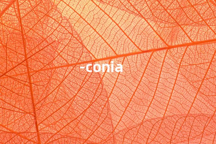 -conia单词图解，单词释义场景配图