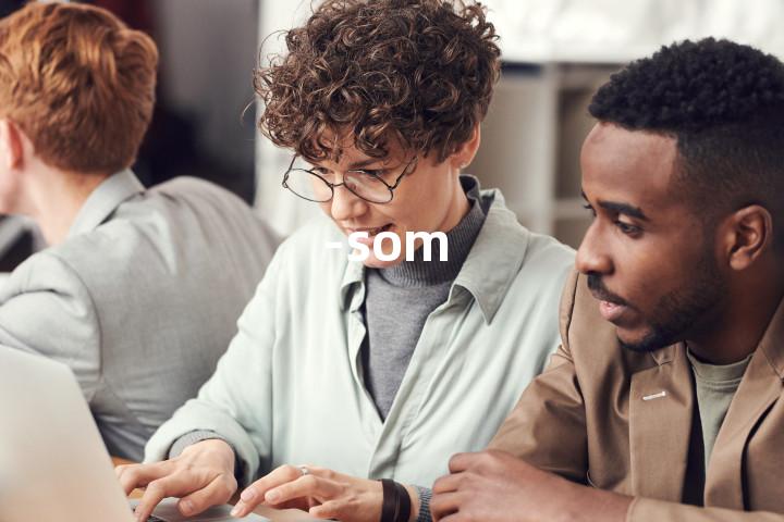 -som单词图解，单词释义场景配图