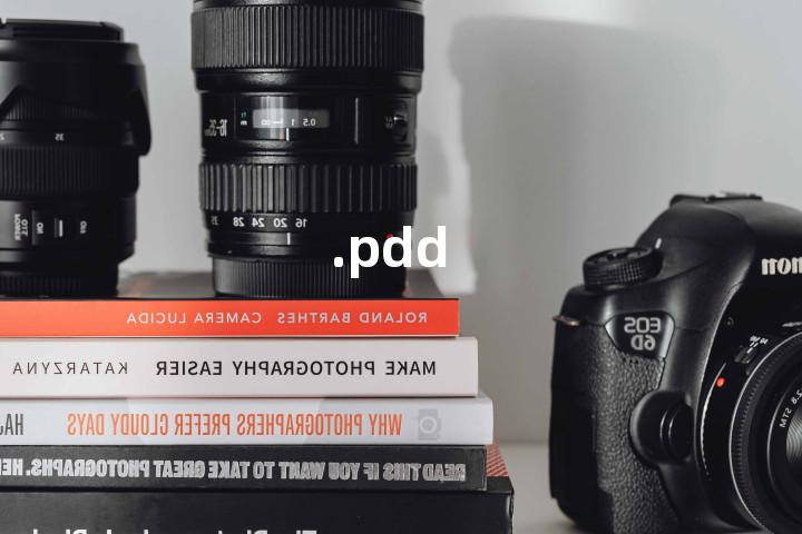 .pdd单词图解，单词释义场景配图