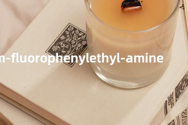 2-m-fluorophenylethyl-amine单词图解，单词释义场景配图