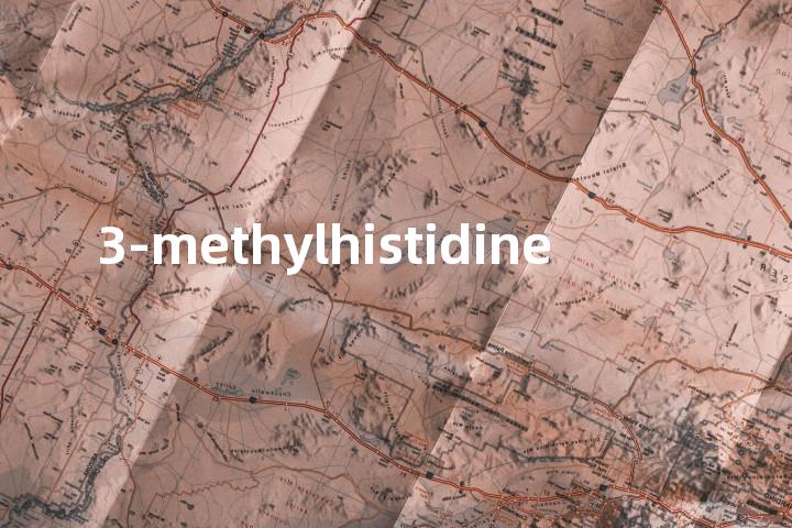 3-methylhistidine单词图解，单词释义场景配图