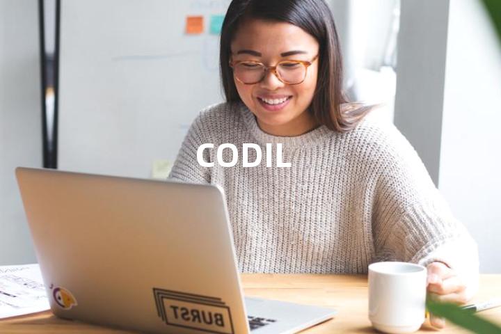 CODIL单词图解，单词释义场景配图