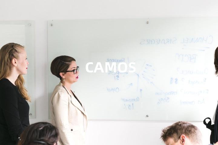 CAMOS单词图解，单词释义场景配图