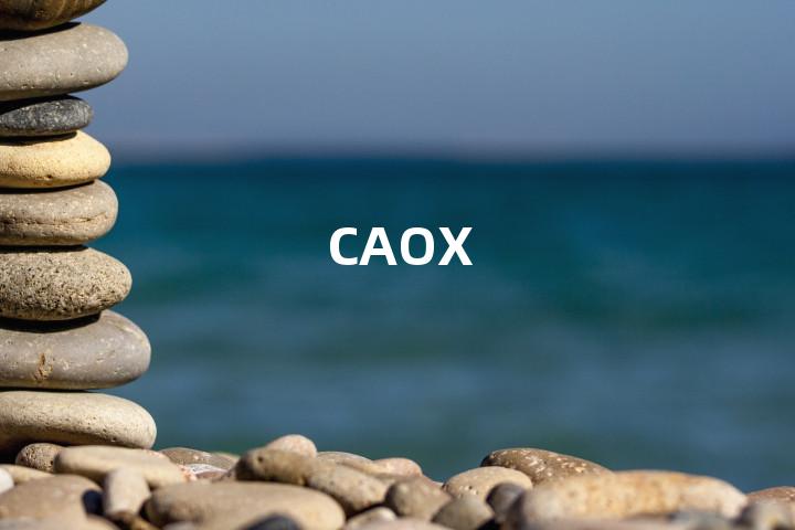 CAOX单词图解，单词释义场景配图