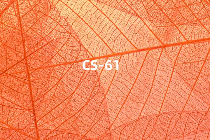 CS-61单词图解，单词释义场景配图