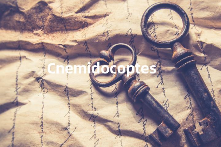 Cnemidocoptes单词图解，单词释义场景配图