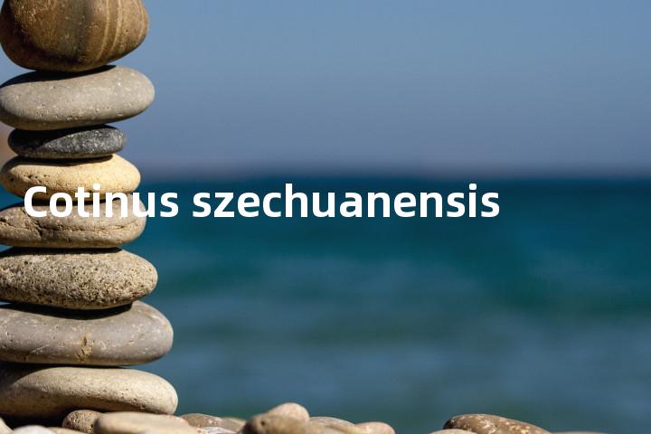 Cotinus szechuanensis单词图解，单词释义场景配图