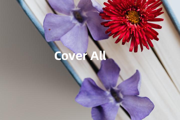 Cover All单词图解，单词释义场景配图