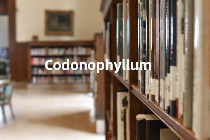 Codonophyllum单词图解，单词释义场景配图