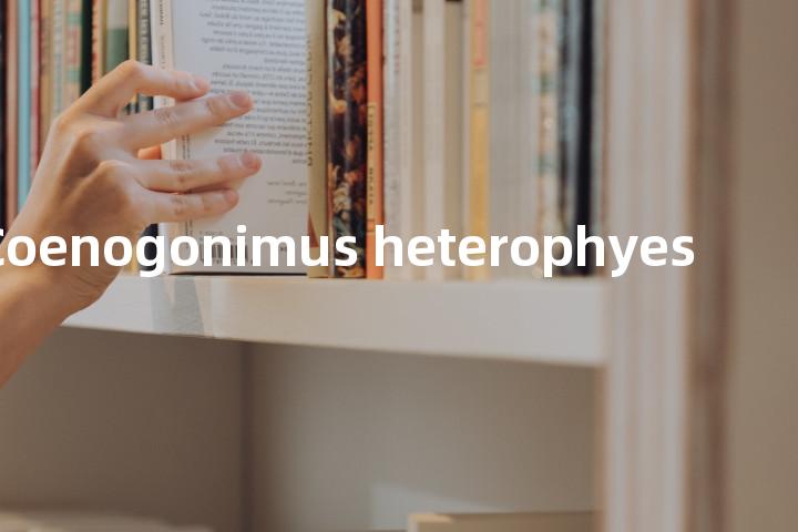 Coenogonimus heterophyes单词图解，单词释义场景配图
