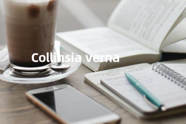 Collinsia verna单词图解，单词释义场景配图