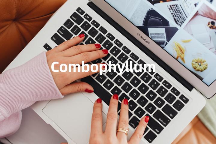 Combophyllum单词图解，单词释义场景配图