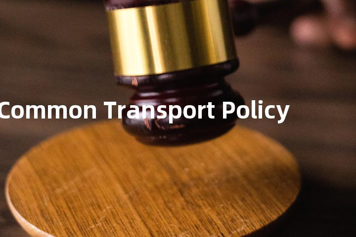 Common Transport Policy单词图解，单词释义场景配图