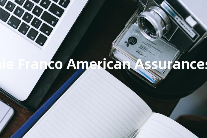 Compagnie Franco American Assurances单词图解，单词释义场景配图