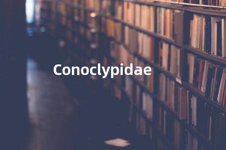 Conoclypidae单词图解，单词释义场景配图