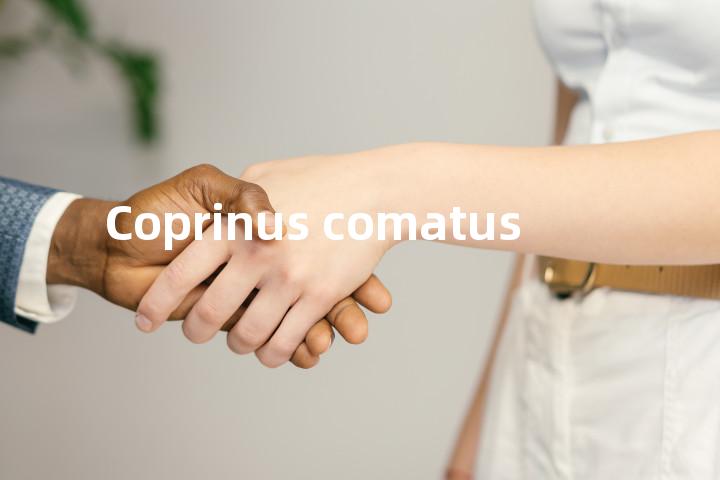 Coprinus comatus单词图解，单词释义场景配图
