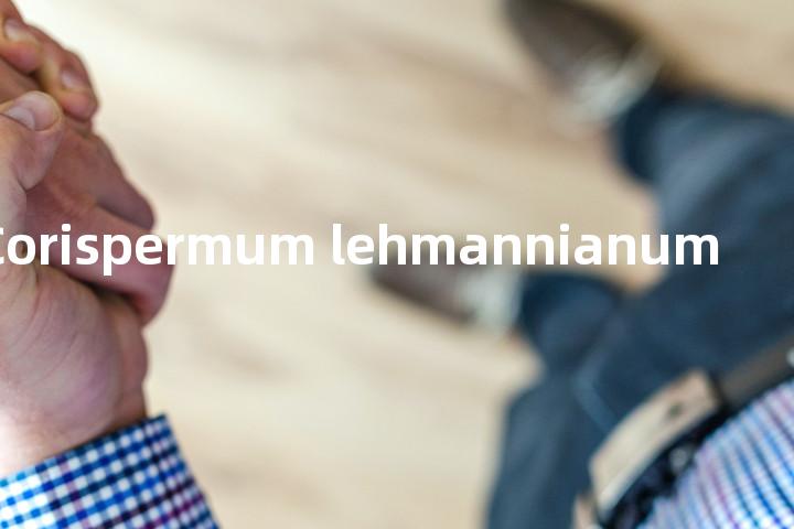 Corispermum lehmannianum单词图解，单词释义场景配图