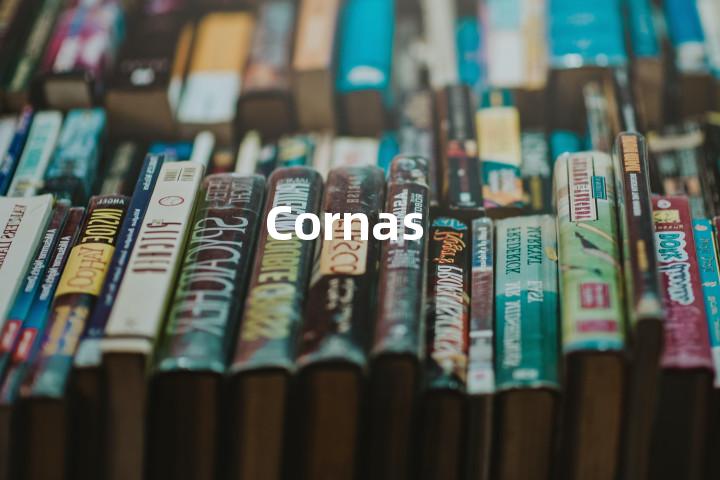 Cornas单词图解，单词释义场景配图