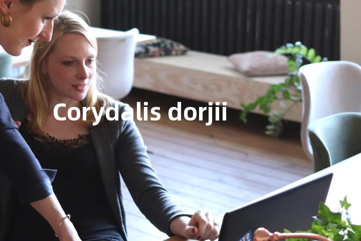 Corydalis dorjii单词图解，单词释义场景配图