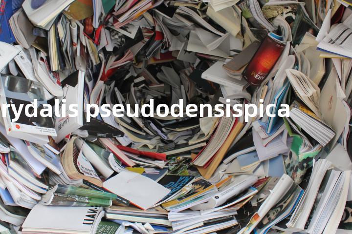 Corydalis pseudodensispica单词图解，单词释义场景配图