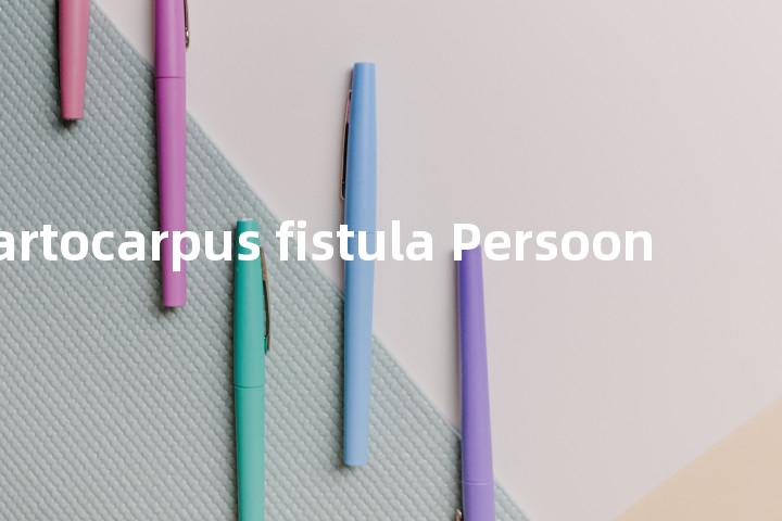 Cathartocarpus fistula Persoon单词图解，单词释义场景配图