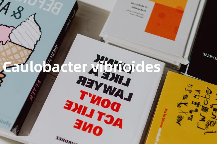 Caulobacter vibrioides单词图解，单词释义场景配图