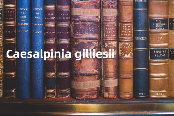 Caesalpinia gilliesii单词图解，单词释义场景配图