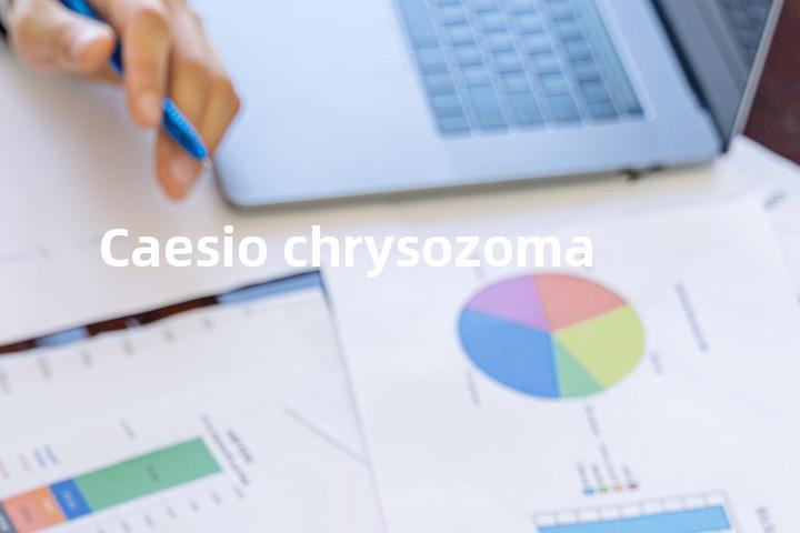 Caesio chrysozoma单词图解，单词释义场景配图