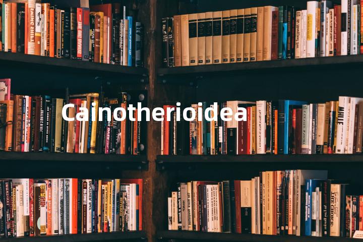 Cainotherioidea单词图解，单词释义场景配图