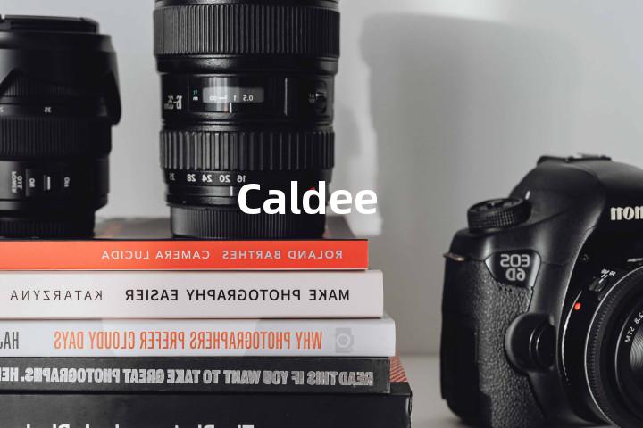 Caldee单词图解，单词释义场景配图