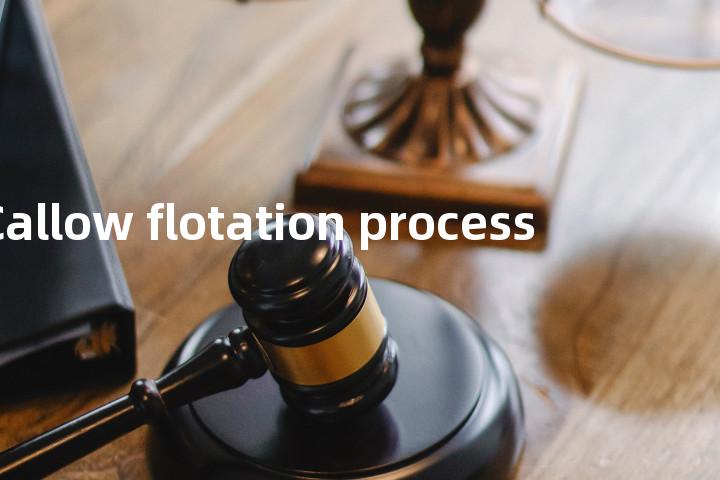 Callow flotation process单词图解，单词释义场景配图