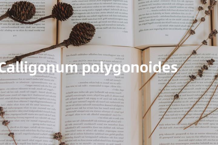 Calligonum polygonoides单词图解，单词释义场景配图