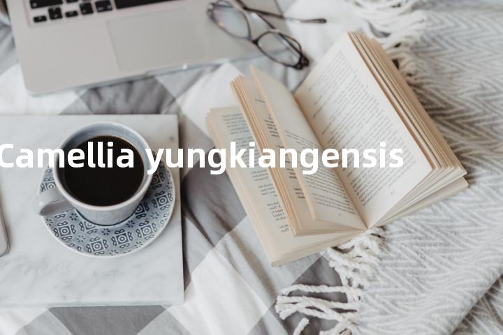 Camellia yungkiangensis单词图解，单词释义场景配图