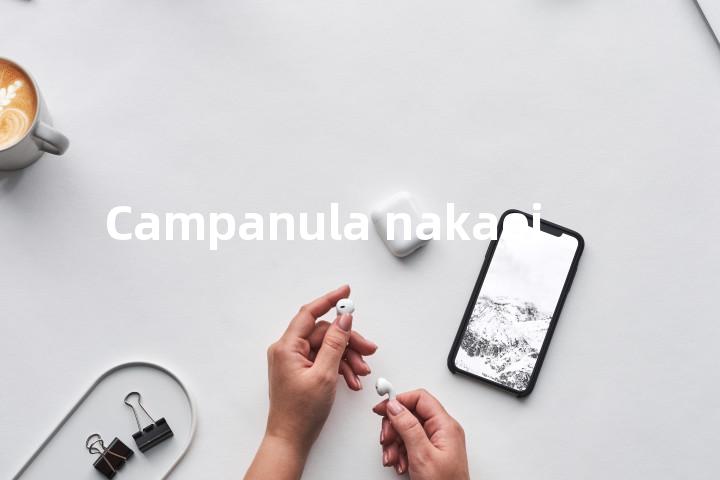 Campanula nakaoi单词图解，单词释义场景配图