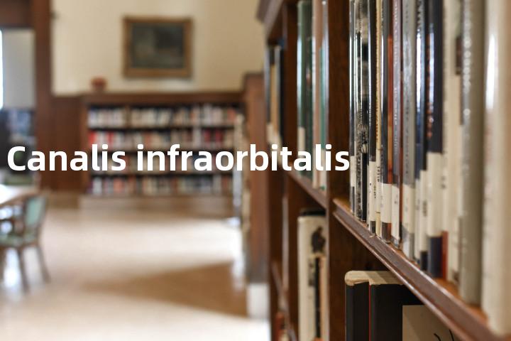Canalis infraorbitalis单词图解，单词释义场景配图