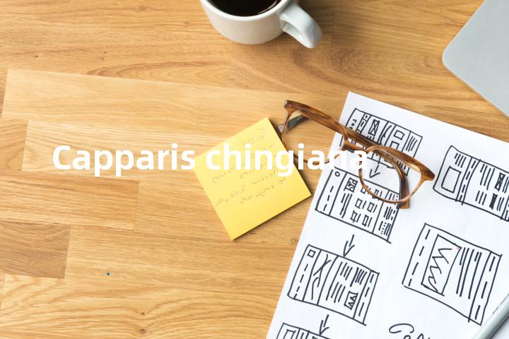 Capparis chingiana单词图解，单词释义场景配图