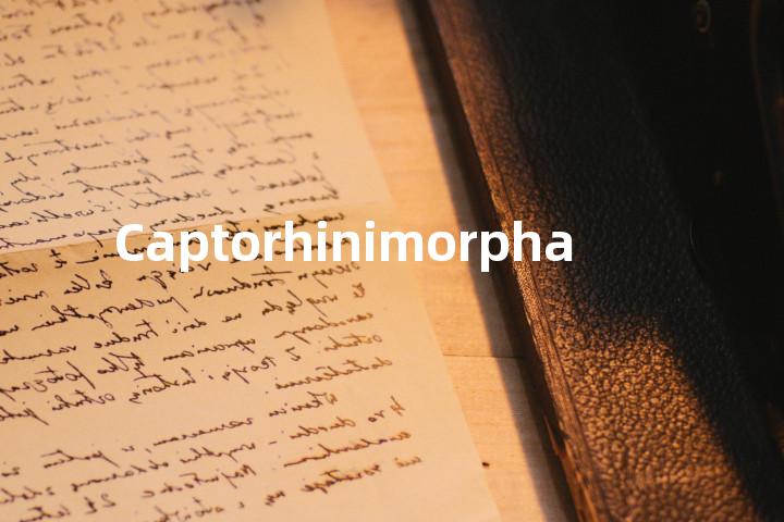Captorhinimorpha单词图解，单词释义场景配图