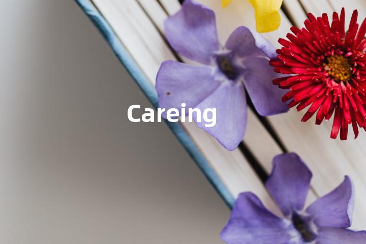 Careing单词图解，单词释义场景配图
