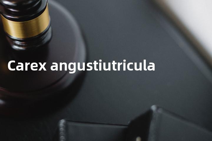 Carex angustiutricula单词图解，单词释义场景配图