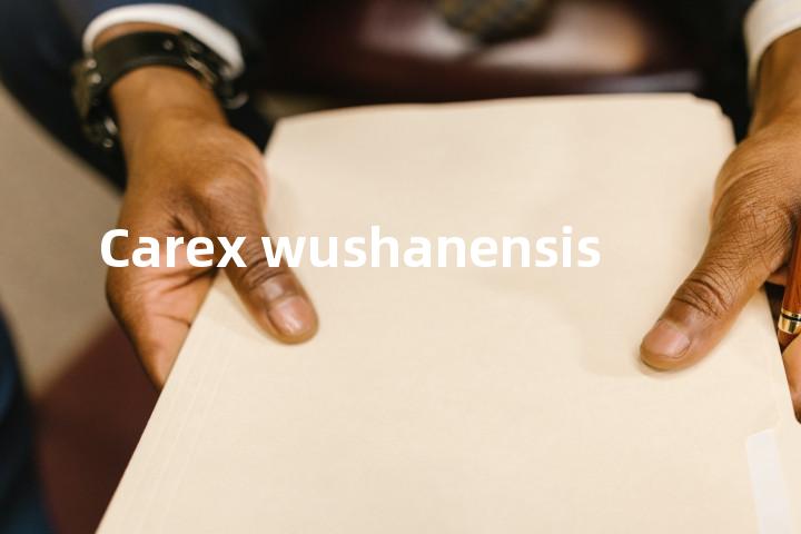 Carex wushanensis单词图解，单词释义场景配图