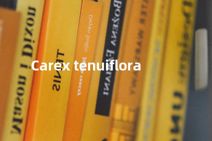 Carex tenuiflora单词图解，单词释义场景配图