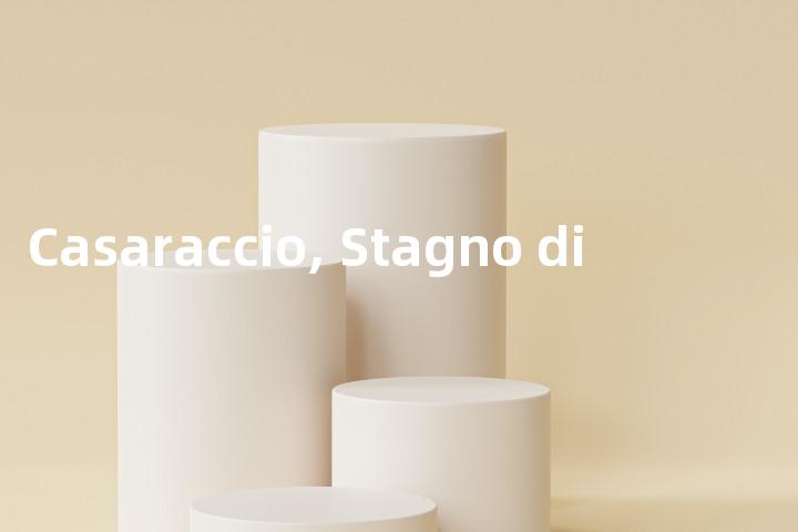 Casaraccio, Stagno di单词图解，单词释义场景配图