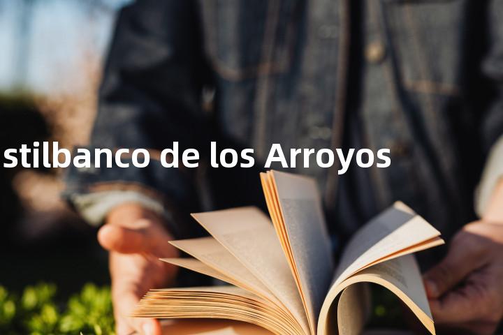 Castilbanco de los Arroyos单词图解，单词释义场景配图